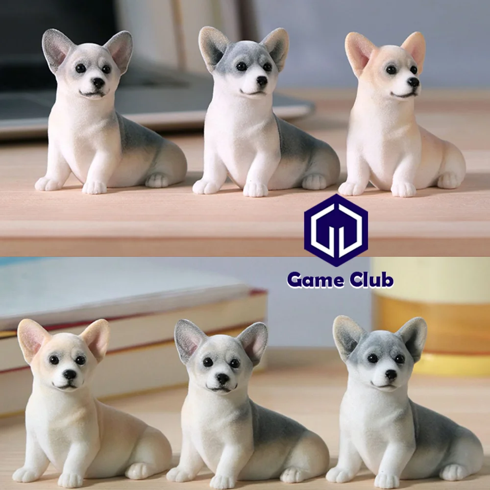 JXK2037 JXK2043 Big Or Small Corgi Dog Animal Model Scene Decoration Ornament Fans Doll Collectible Souvenir Scene Accessories
JXK2037 JXK2043 Big Or Small Corgi Dog Animal Model Scene Decoration Ornament Fans Doll Collectible Souvenir Scene Accessories