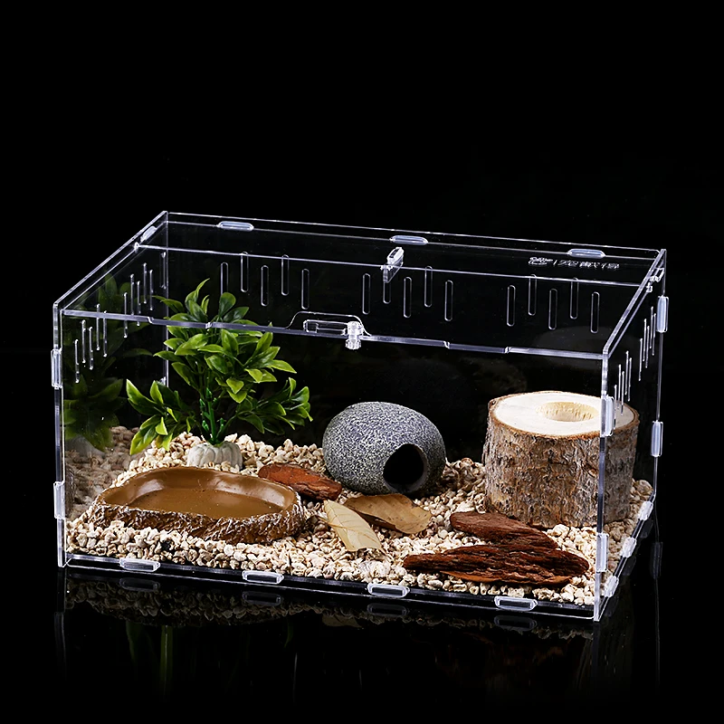 Animal and Plant Feeding Box Exhibition Box Reptile Habitat-Insect Feeding Box Acrylic Breeding Case
Animal and Plant Feeding Box Exhibition Box Reptile Habitat-Insect Feeding Box Acrylic Breeding Case