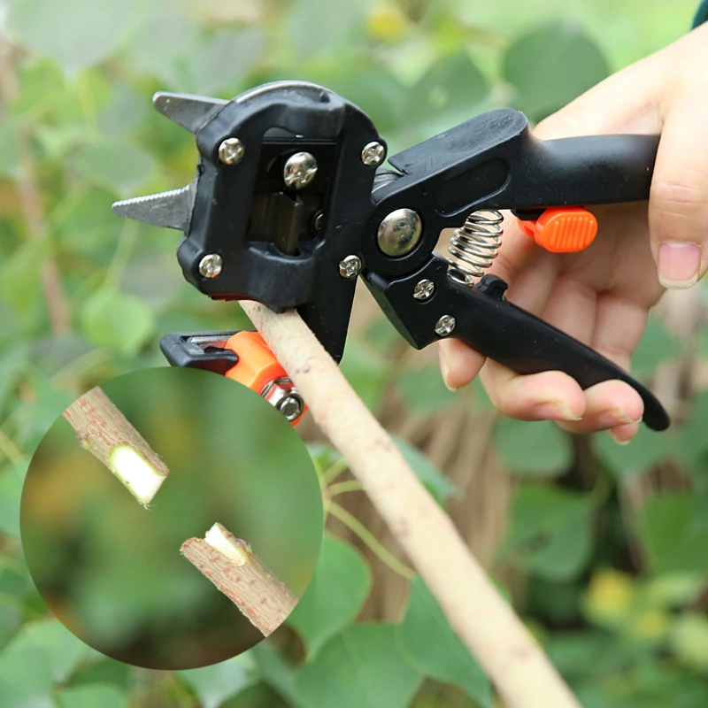 Прививочная пленка, искусственный прививочный нож, прививочные инструменты для прививки деревьев, садовые инструменты, ножницы, Прививка
Прививочная пленка, искусственный прививочный нож, прививочные инструменты для прививки деревьев, садовые инструменты, ножницы, Прививка