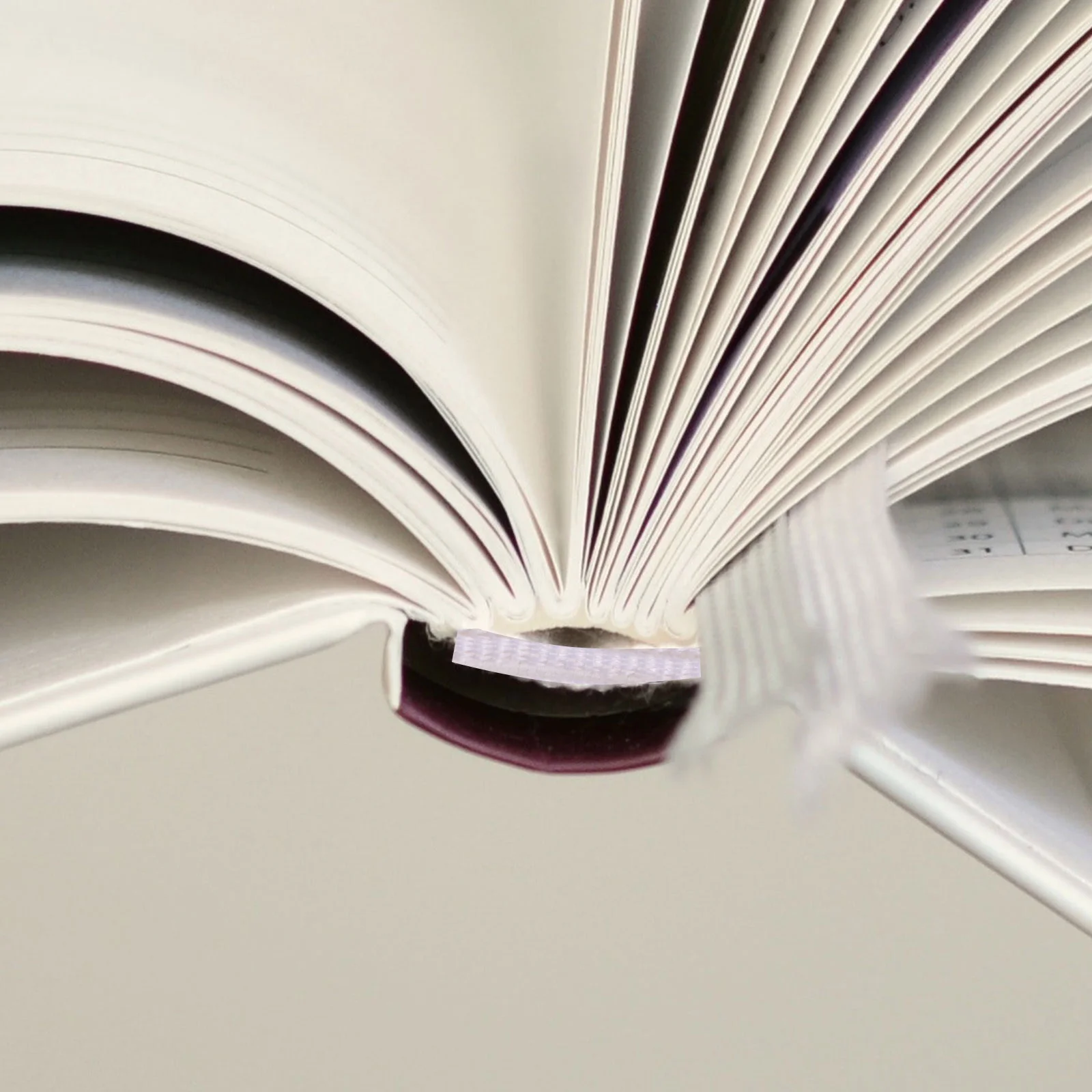 Альбом для книг, аксессуар «сделай сам», декоративные принадлежности для книг, ленты, переплетные аксессуары из белого полиэстера
Альбом для книг, аксессуар «сделай сам», декоративные принадлежности для книг, ленты, переплетные аксессуары из белого полиэстера