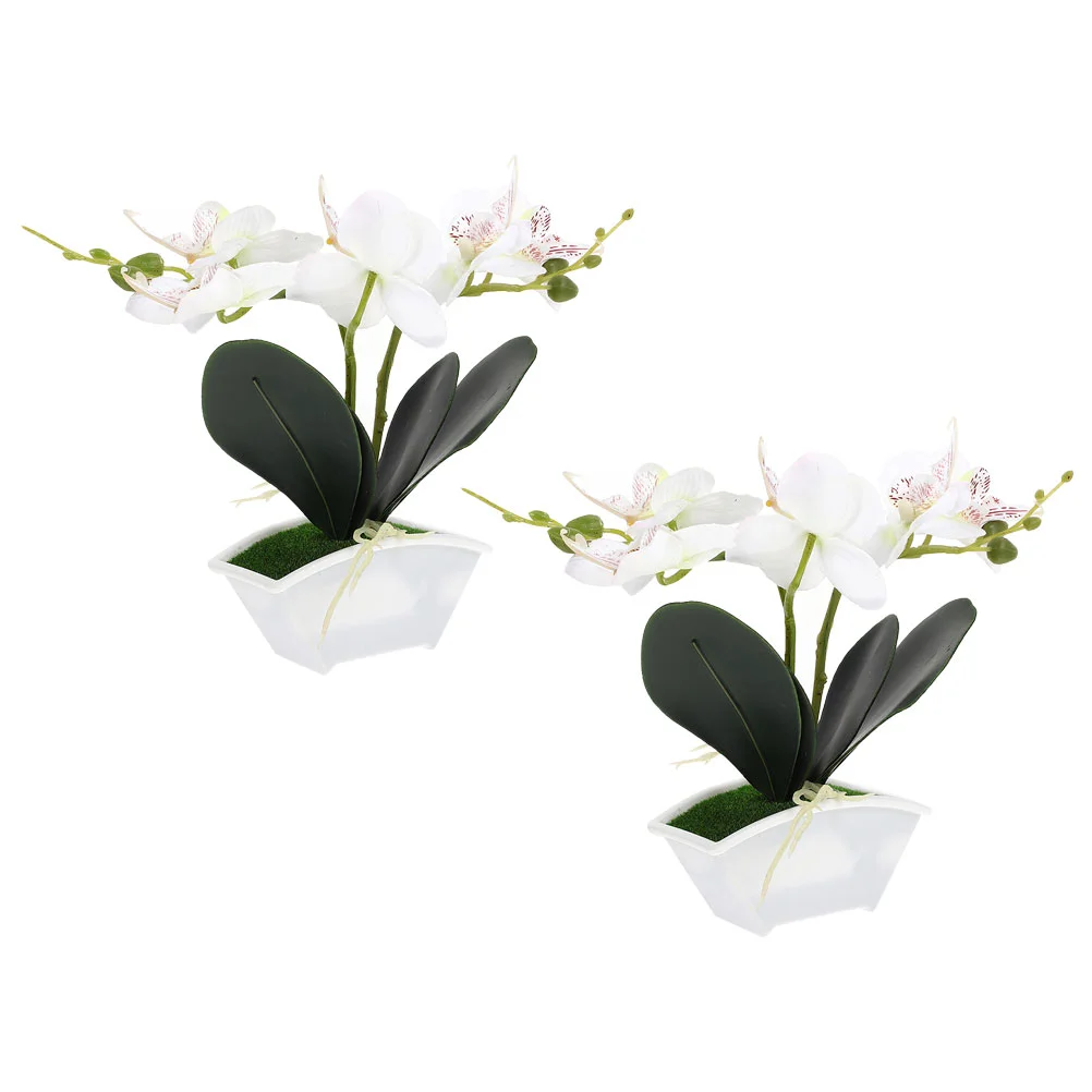 2 Pcs Simulation Phalaenopsis Fake Potted Plants Ornament Flower Bonsai Artificial Flowers Silk
2 Pcs Simulation Phalaenopsis Fake Potted Plants Ornament Flower Bonsai Artificial Flowers Silk