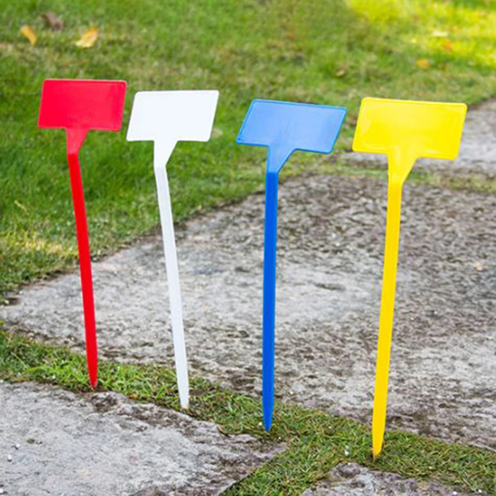 Brand New For Horticultural Crops Marking Plate Plant Labels T Type 4.5cm*9cm*30cm Convenient Injection-molded
Brand New For Horticultural Crops Marking Plate Plant Labels T Type 4.5cm*9cm*30cm Convenient Injection-molded