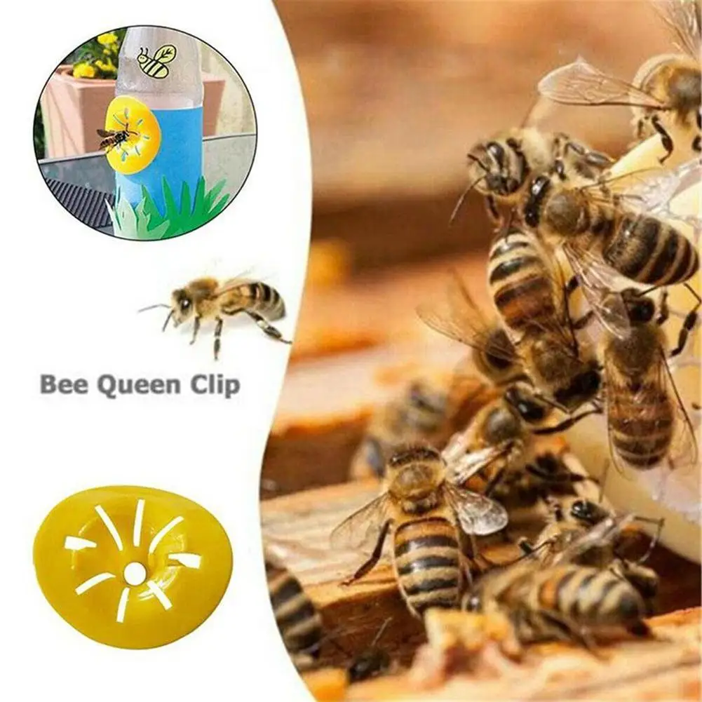 10Pcs Home Garden Catcher Wasp Insects Trap Bee Hornets Funnel Killer Reusable New Plastic Bottle Wasp Traps Bee Catcher
10Pcs Home Garden Catcher Wasp Insects Trap Bee Hornets Funnel Killer Reusable New Plastic Bottle Wasp Traps Bee Catcher