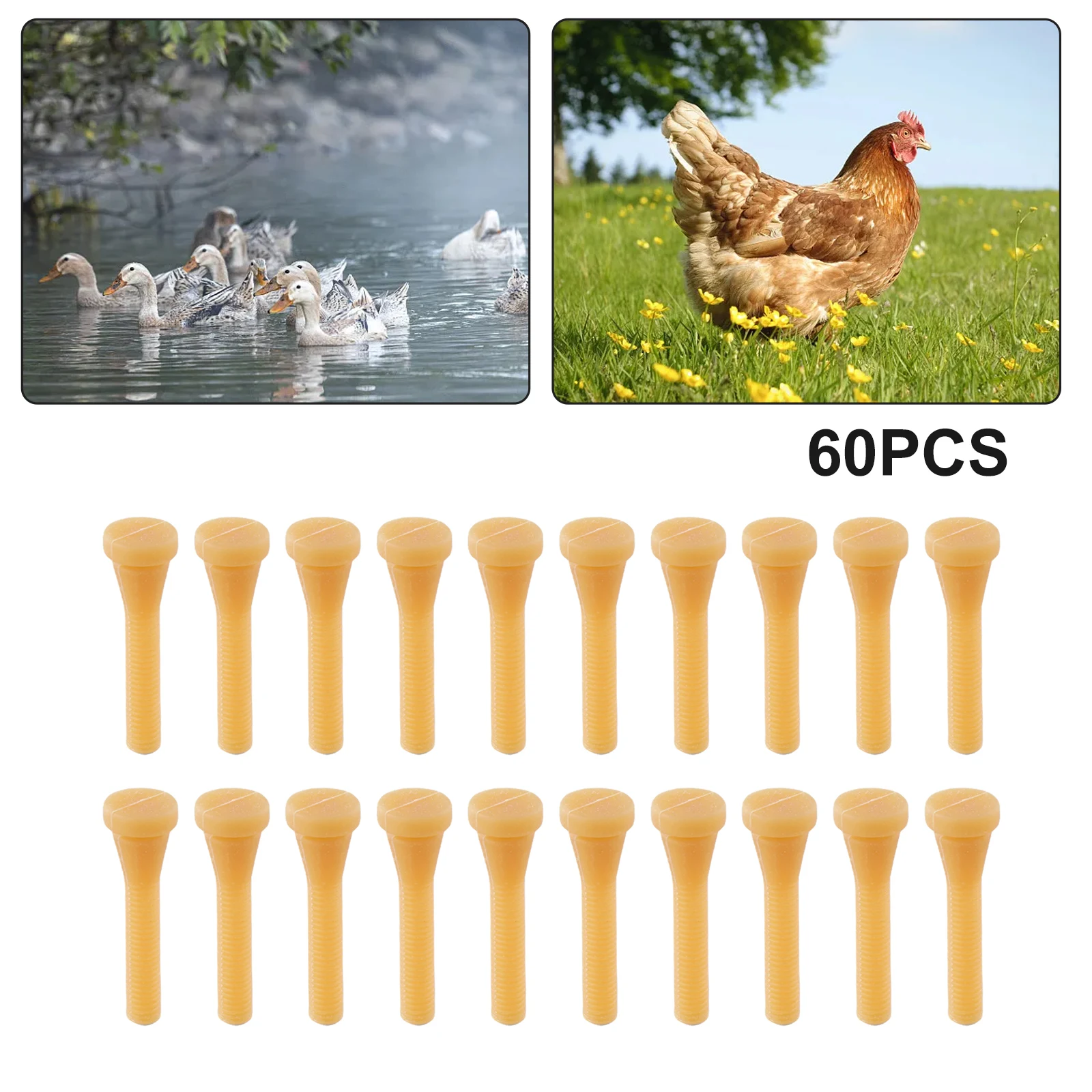 Goose Chicken Tool Accessories Machine Ducks Rubber 60Pcs Poultry Feather Plucking Remover Set Finger Reliable
Goose Chicken Tool Accessories Machine Ducks Rubber 60Pcs Poultry Feather Plucking Remover Set Finger Reliable