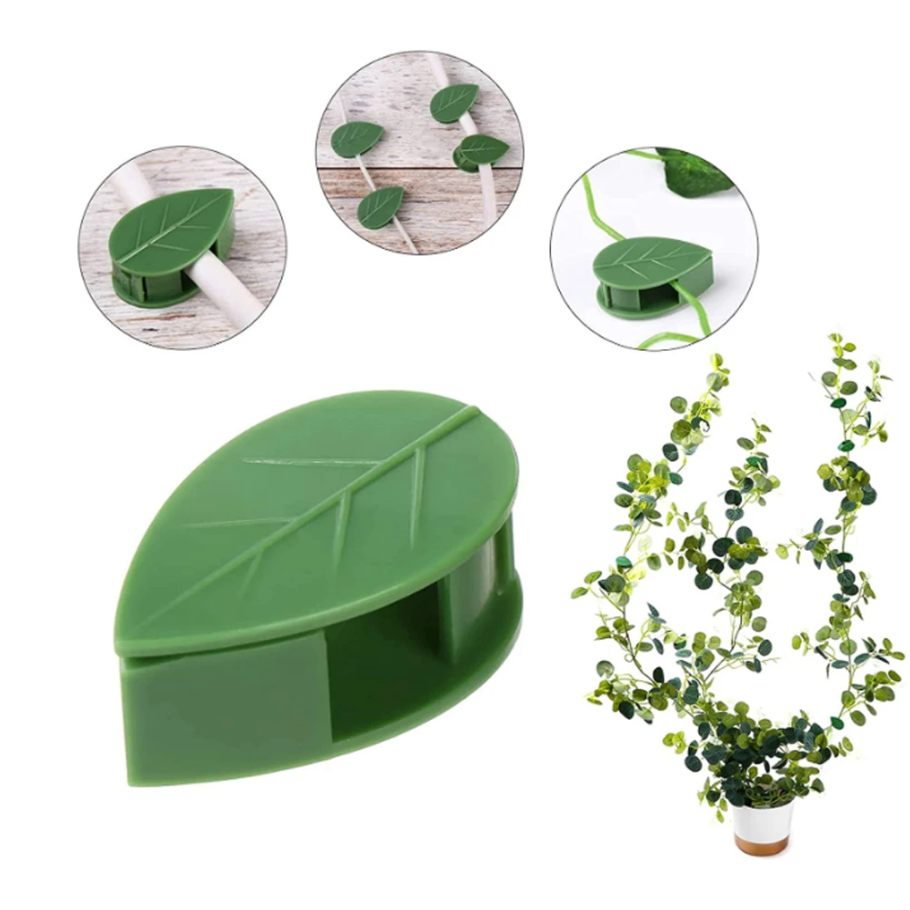 10Pc Invisible Plant Climbing Wall Fixture Clips Self-Adhesive Vines Hook Support Garden Wall Fixer Wire Fixing Snap Plant Stand
10Pc Invisible Plant Climbing Wall Fixture Clips Self-Adhesive Vines Hook Support Garden Wall Fixer Wire Fixing Snap Plant Stand