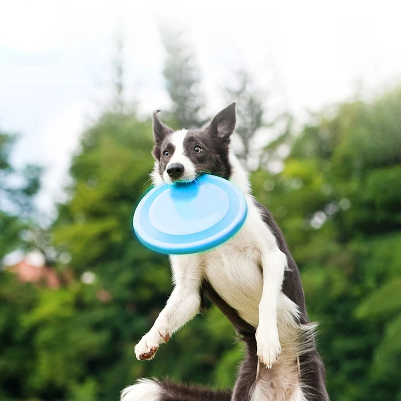 22CM Dog Toys Pet Flying Discs Puppy Training Chewing Toy Ring Resistant Bite Floating Toy Game Interactive Dog Supplies
22CM Dog Toys Pet Flying Discs Puppy Training Chewing Toy Ring Resistant Bite Floating Toy Game Interactive Dog Supplies