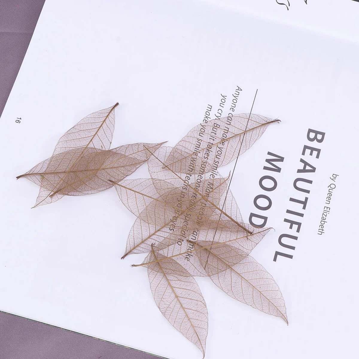 Leavesdried Rubber Naturalleaf Tree Specimen Flowers Artificial Craft Diy Craftswall Bookmark Paper Pressed Flower Accessory
Leavesdried Rubber Naturalleaf Tree Specimen Flowers Artificial Craft Diy Craftswall Bookmark Paper Pressed Flower Accessory