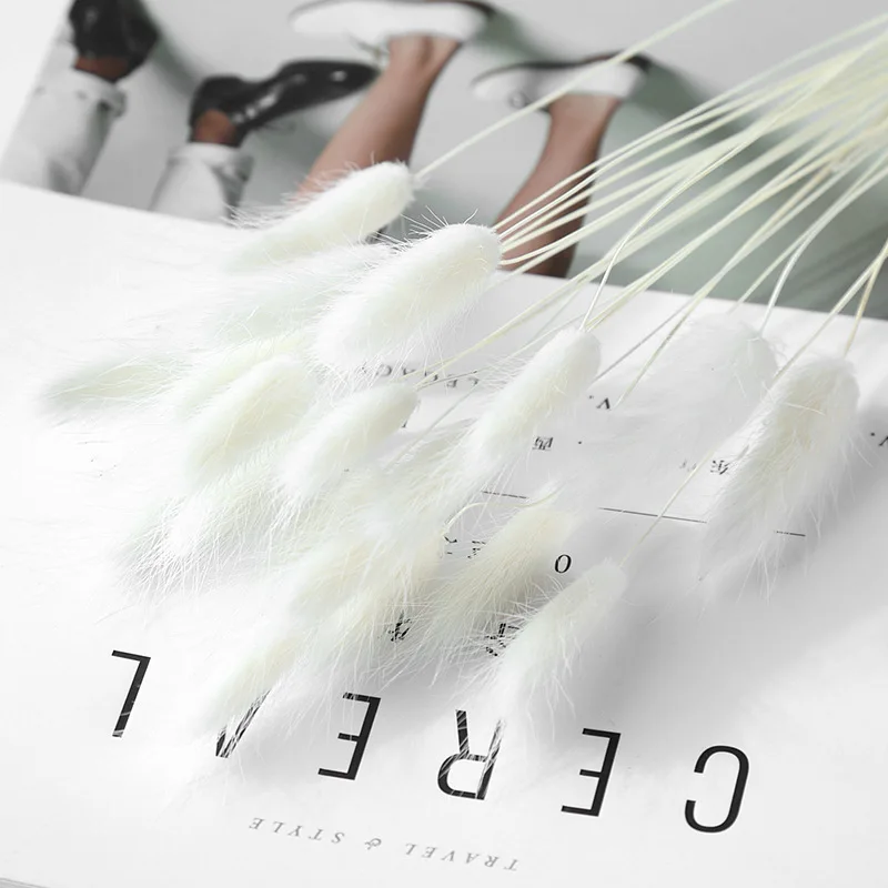 60pcs Bunny Tail Grass Natural Dried Rabbit Tail Pampas Grass Bouquet for Wedding Party Decortaion Strawberry Boho Home Decor
60pcs Bunny Tail Grass Natural Dried Rabbit Tail Pampas Grass Bouquet for Wedding Party Decortaion Strawberry Boho Home Decor