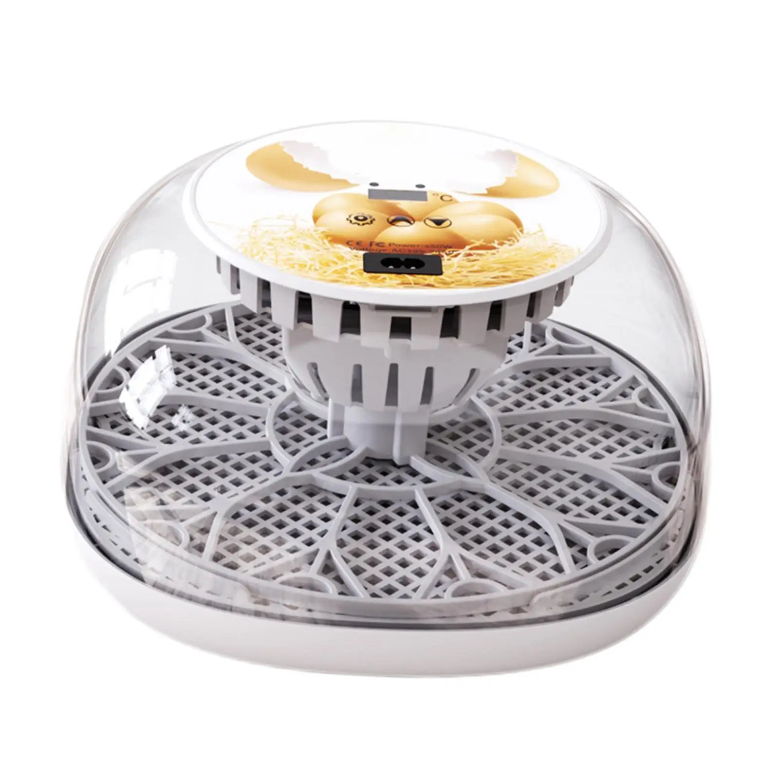 12 Eggs Incubator Manual Egg Turner Chick Incubator Children Experimental Small Egg Hatcher Machine for Turkey Eggs Birds Pigeon
12 Eggs Incubator Manual Egg Turner Chick Incubator Children Experimental Small Egg Hatcher Machine for Turkey Eggs Birds Pigeon