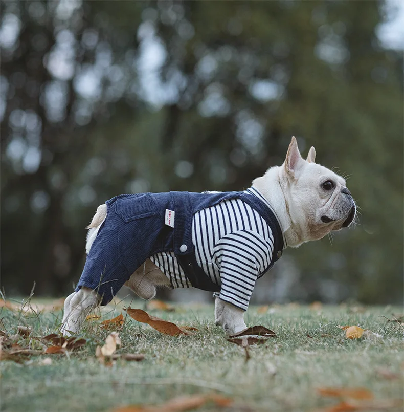 100% cotton stretch corduroy quadruped clothes, Chenery Bears, French fighting cat and dog clothes, autumn and winter one-piece
100% cotton stretch corduroy quadruped clothes, Chenery Bears, French fighting cat and dog clothes, autumn and winter one-piece