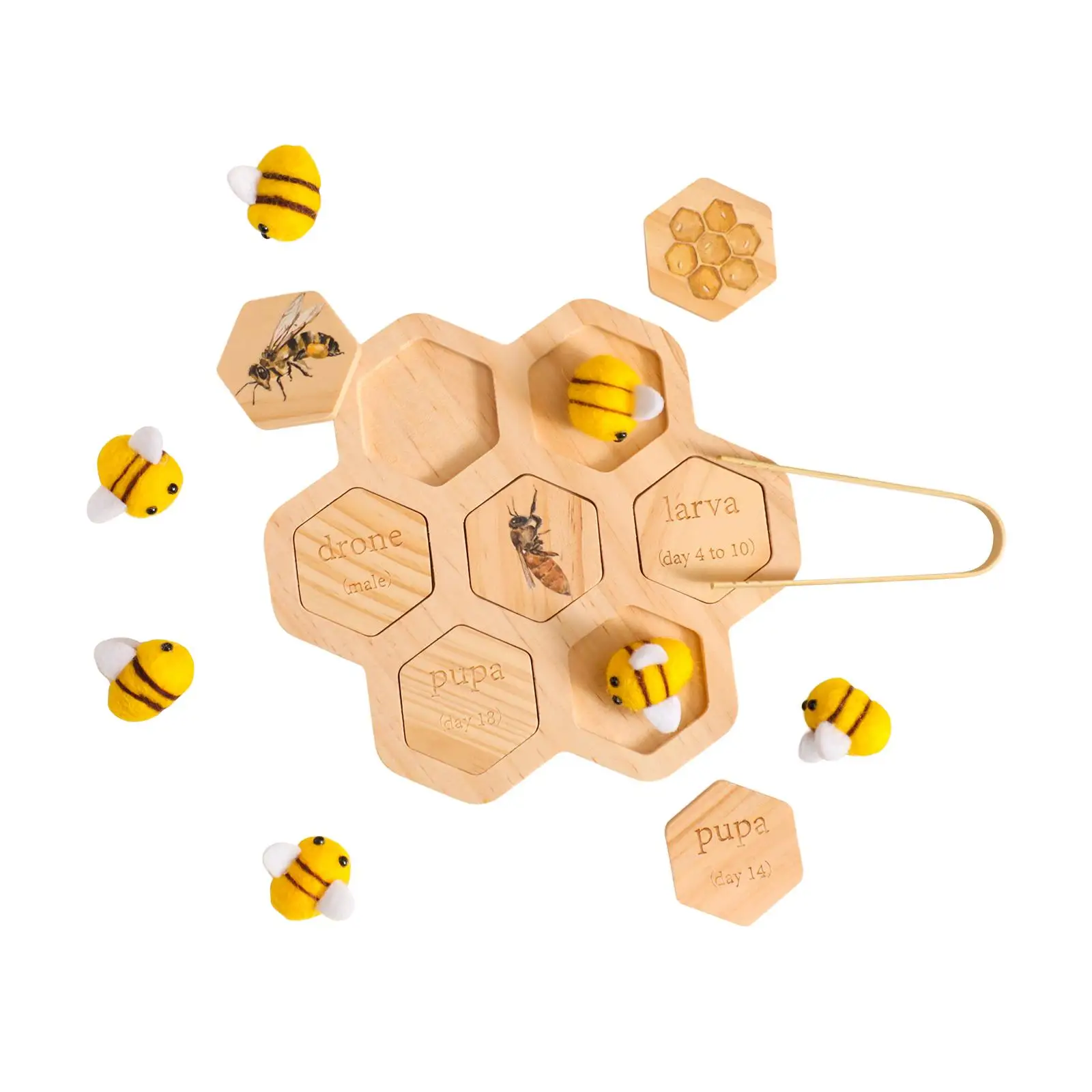 Sorting Matching Toy Teaching Aids Early Learning for Boys Girls Cognitive Educational Life Cycle Tray Wood Toy Clip Beads Game
Sorting Matching Toy Teaching Aids Early Learning for Boys Girls Cognitive Educational Life Cycle Tray Wood Toy Clip Beads Game