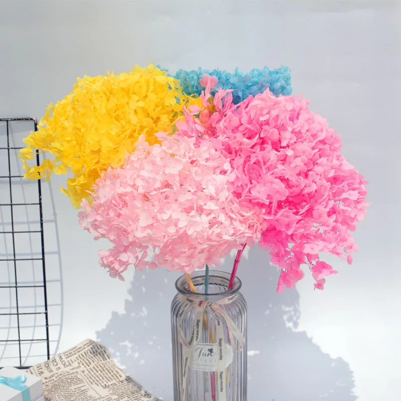 15-20G/Lot Natural Dried Flower Hydrangea Preserved FlowerSmall Leaf Flower Head Pendant Necklace DIY Material Accessories
15-20G/Lot Natural Dried Flower Hydrangea Preserved FlowerSmall Leaf Flower Head Pendant Necklace DIY Material Accessories