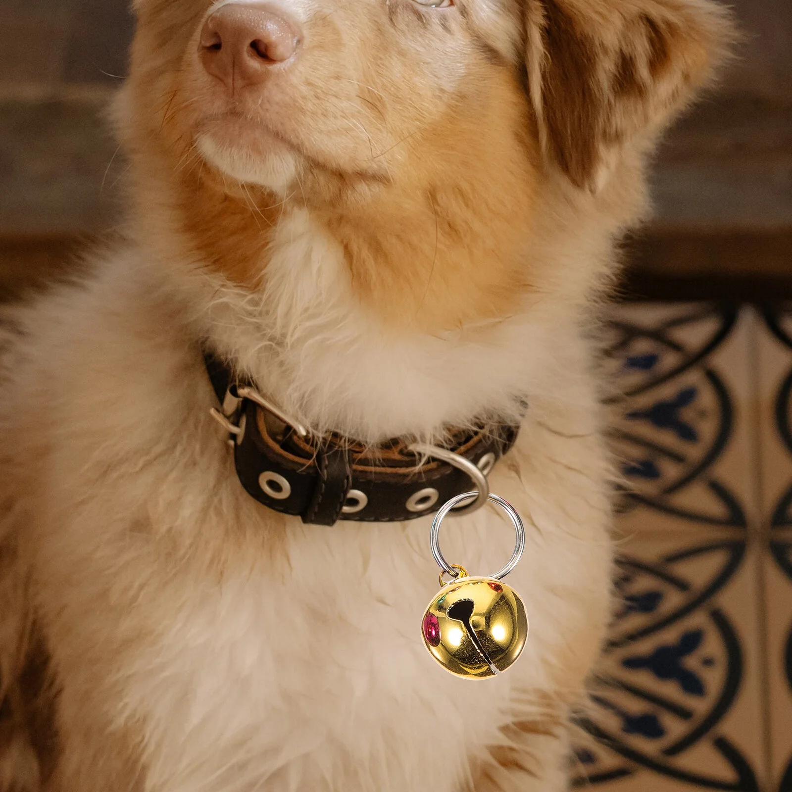Key Chain Bell Ornaments Delicate Metal Bells Pet Collar Craft Multi-function Exquisite Hanging Small Tiny Puppy
Key Chain Bell Ornaments Delicate Metal Bells Pet Collar Craft Multi-function Exquisite Hanging Small Tiny Puppy