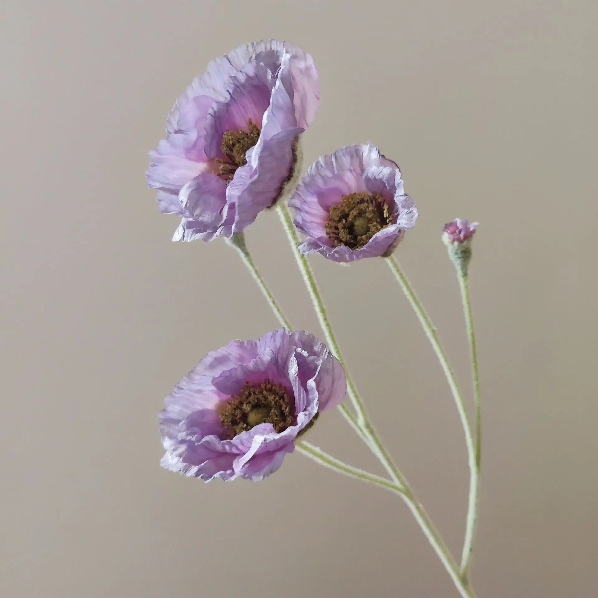 Искусственные цветы мака шелковые 65 см
Искусственные цветы мака шелковые 65 см