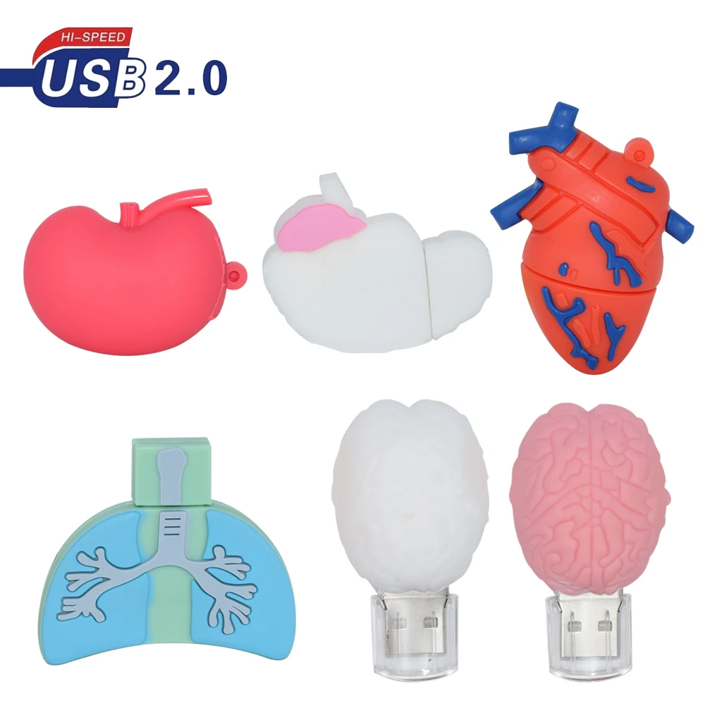 Cartoon Human Organs USB Flash Drive Heart Brain Pendrive 4GB 8G 16GB 32GB 64GB 128GB Memoria Usb Stick Pen Drive Cle usb
Cartoon Human Organs USB Flash Drive Heart Brain Pendrive 4GB 8G 16GB 32GB 64GB 128GB Memoria Usb Stick Pen Drive Cle usb