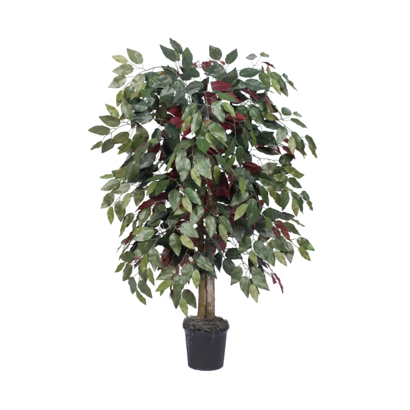 Free shipping Everyday 4' Artificial Capensia Bush in a Black Plastic Pot - Lifelike Home Or Office Decor - Premium Faux Potted
Free shipping Everyday 4' Artificial Capensia Bush in a Black Plastic Pot - Lifelike Home Or Office Decor - Premium Faux Potted