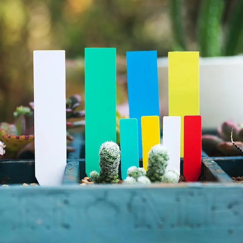100 PCS Reusable PVC Plants Hang Tag Labels Tree Fruits Seedling Garden Flower Pot Plastic Tags Sign Classification Small Tools 
100 PCS Reusable PVC Plants Hang Tag Labels Tree Fruits Seedling Garden Flower Pot Plastic Tags Sign Classification Small Tools