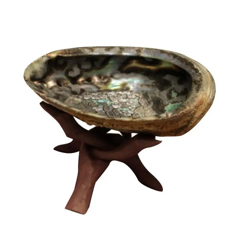 White Sage Shell Abalone Shell Kit White Sage Holder Bowl With A Tripod For Incense Burning Home Offices White Sage Holder
White Sage Shell Abalone Shell Kit White Sage Holder Bowl With A Tripod For Incense Burning Home Offices White Sage Holder