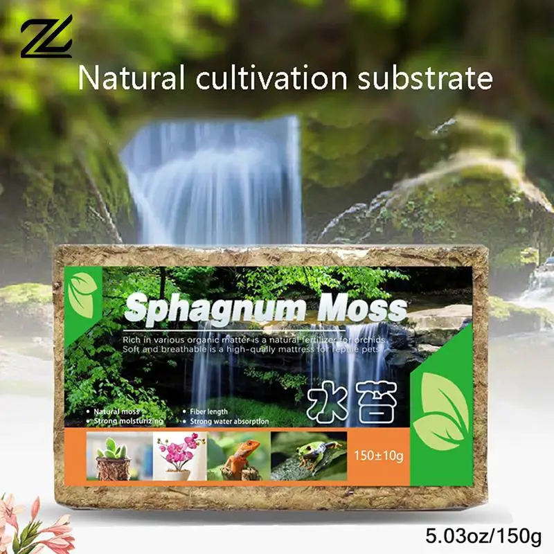 150g Natural Sphagnum Moss Orchid Potting Mix Orchid Sphagnum Moss Dried For Orchid Gardening Plants Help With Maintain Humidity
150g Natural Sphagnum Moss Orchid Potting Mix Orchid Sphagnum Moss Dried For Orchid Gardening Plants Help With Maintain Humidity