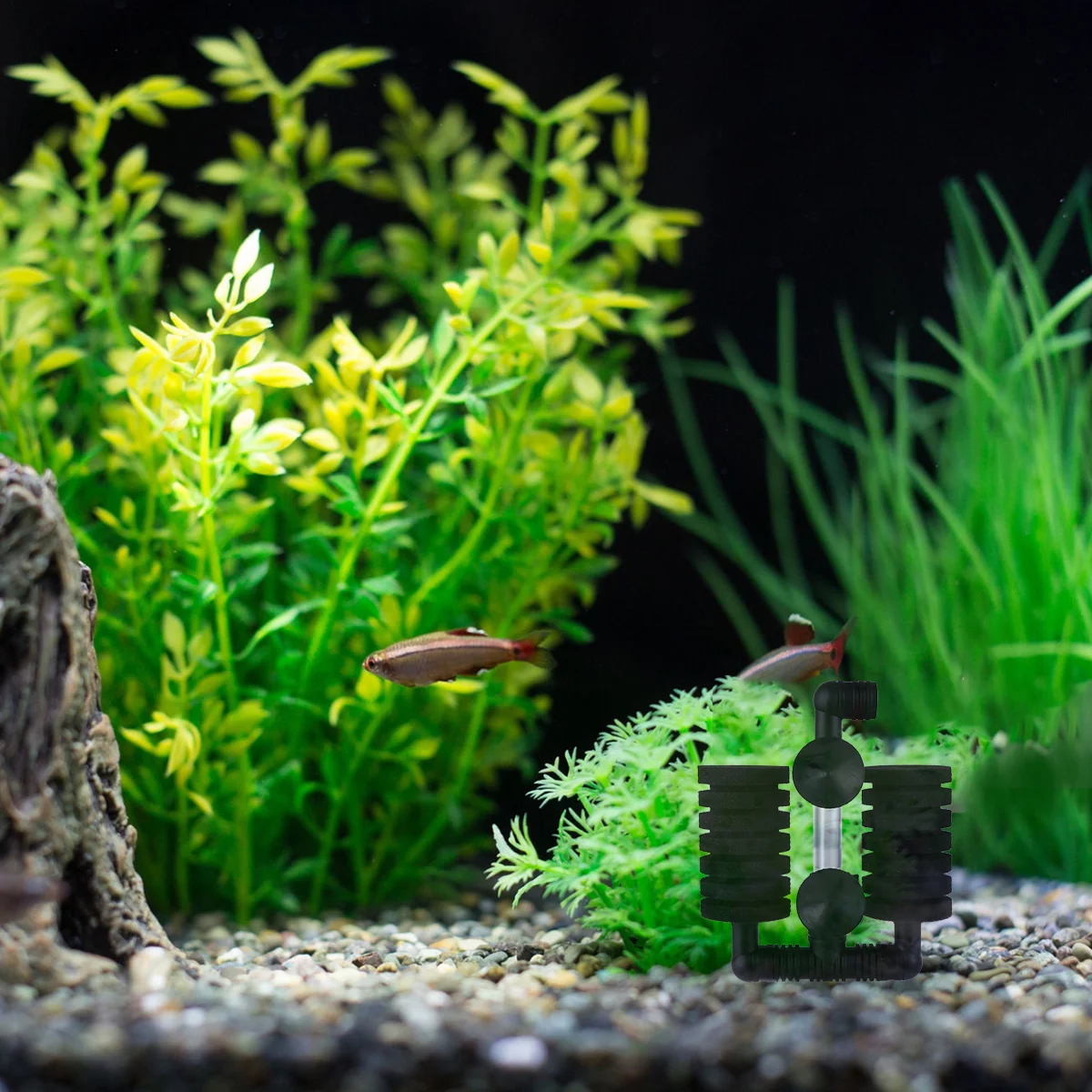 1Pc Aquarium Internal Filter Tank Filter Sponge Fry Betta Sponge Filter Breeder Shrimp Filter Tank Supplies
1Pc Aquarium Internal Filter Tank Filter Sponge Fry Betta Sponge Filter Breeder Shrimp Filter Tank Supplies