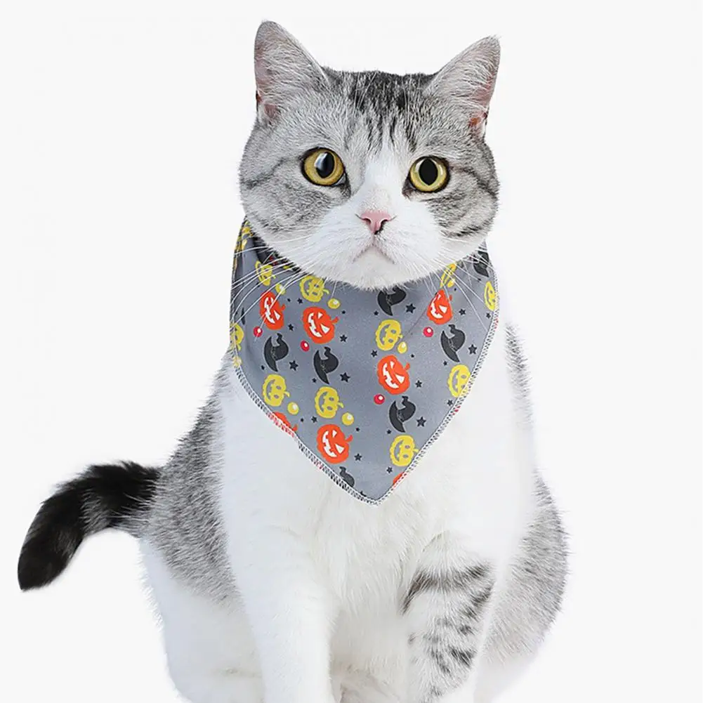 Shaped Pet Towel Stylish Halloween Pet Towel Pumpkin Pattern Comfortable Deformation-free Dress Up for Funny Dogs Cats
Shaped Pet Towel Stylish Halloween Pet Towel Pumpkin Pattern Comfortable Deformation-free Dress Up for Funny Dogs Cats