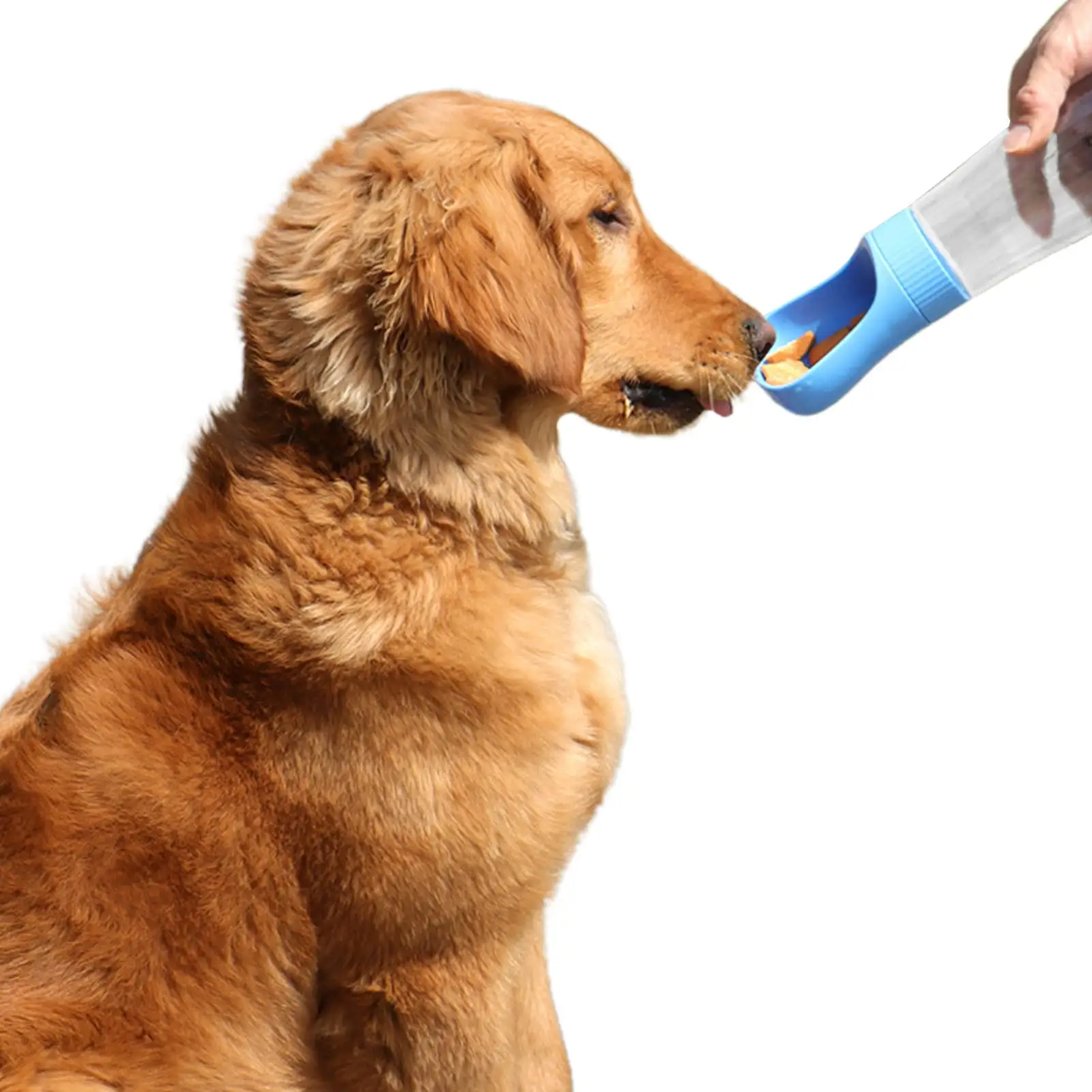 Portable Pet Water Bottle Foldable Dog Water Dispenser For Walking With Dog Waste Bag Travel Portable Pet Water Bottle For
Portable Pet Water Bottle Foldable Dog Water Dispenser For Walking With Dog Waste Bag Travel Portable Pet Water Bottle For