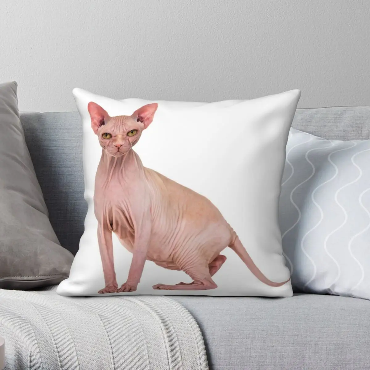 Sphynx Cat Square Pillowcase Polyester Linen Velvet Printed Zip Decor Pillow Case Car Cushion Cover
Sphynx Cat Square Pillowcase Polyester Linen Velvet Printed Zip Decor Pillow Case Car Cushion Cover