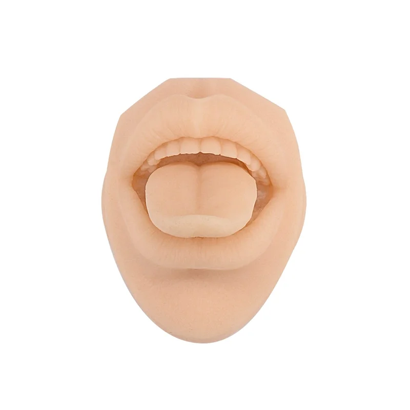 Silicone Mouth Model Tattoo Puncture Practice Simulation Human Body Part Display Lip Teeth Tongue Piercing Jewelry
Silicone Mouth Model Tattoo Puncture Practice Simulation Human Body Part Display Lip Teeth Tongue Piercing Jewelry