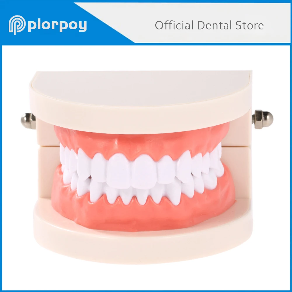 PIORPOY Dental Teaching Standard Teeth Dentist Model Teaching Study Children Study Cavities Model Demonstration Dentistry Tool
PIORPOY Dental Teaching Standard Teeth Dentist Model Teaching Study Children Study Cavities Model Demonstration Dentistry Tool