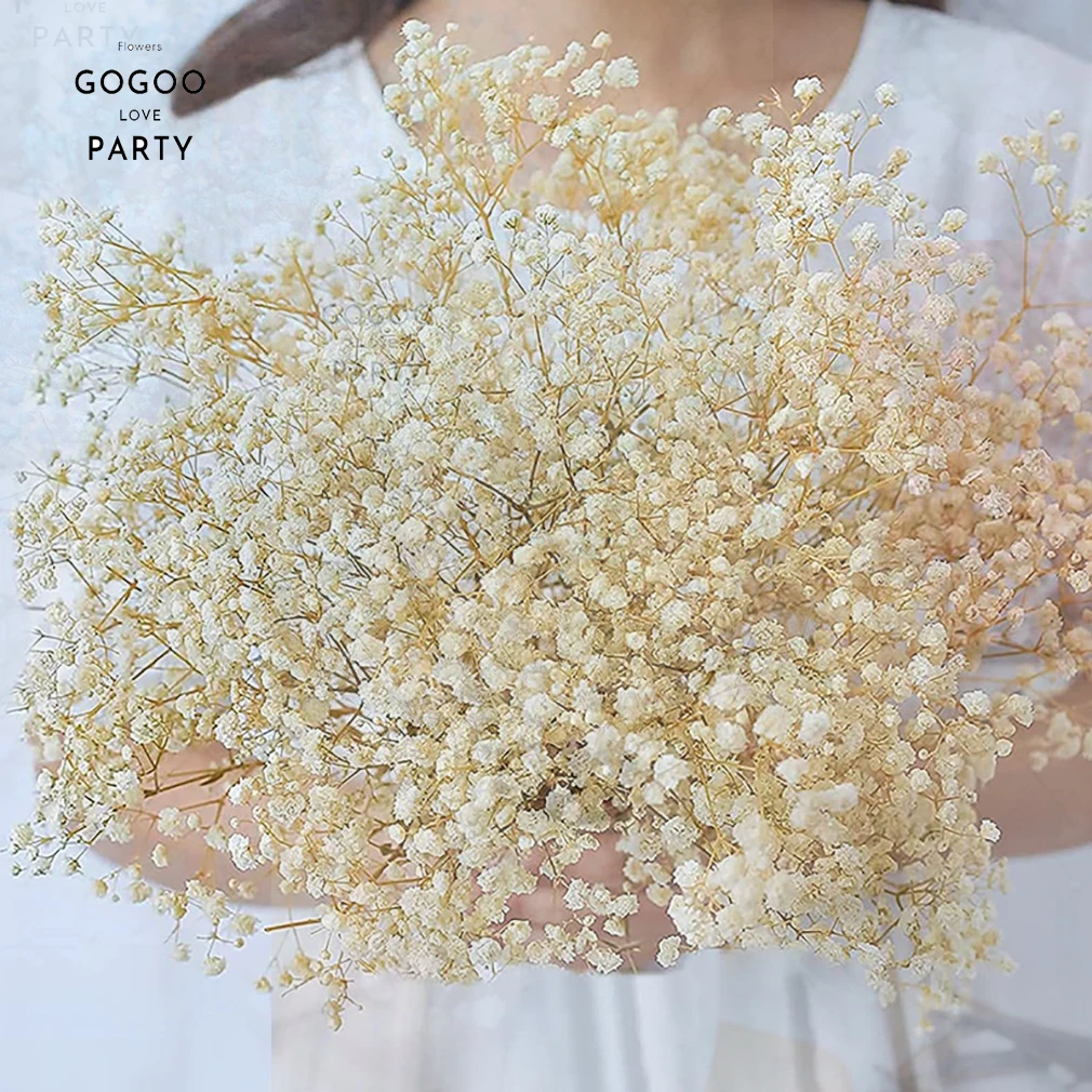 

Baby's Breath Dried Flowers Gypsophila Arrangement Artificial Flowers Wedding Decoration Fleurs Sechees Christmas Home Decor