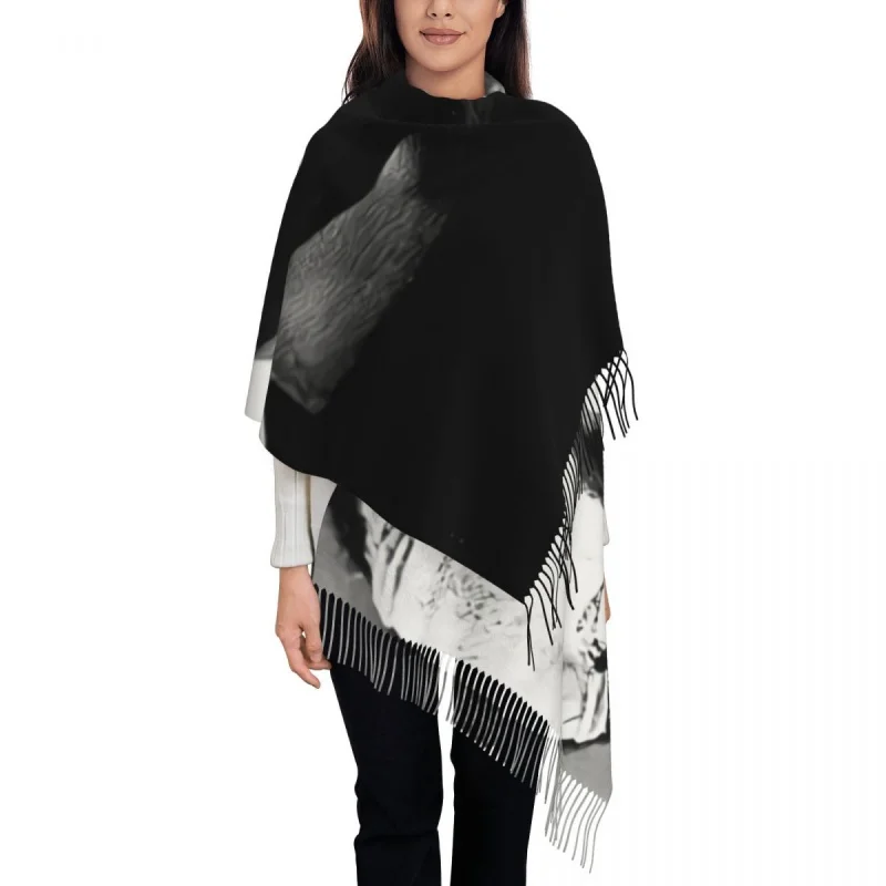 Bride Of Frankenstein Tassel Scarf Women Soft Spooky Monster Film Shawl Wrap Lady Winter Fall Scarves
Bride Of Frankenstein Tassel Scarf Women Soft Spooky Monster Film Shawl Wrap Lady Winter Fall Scarves