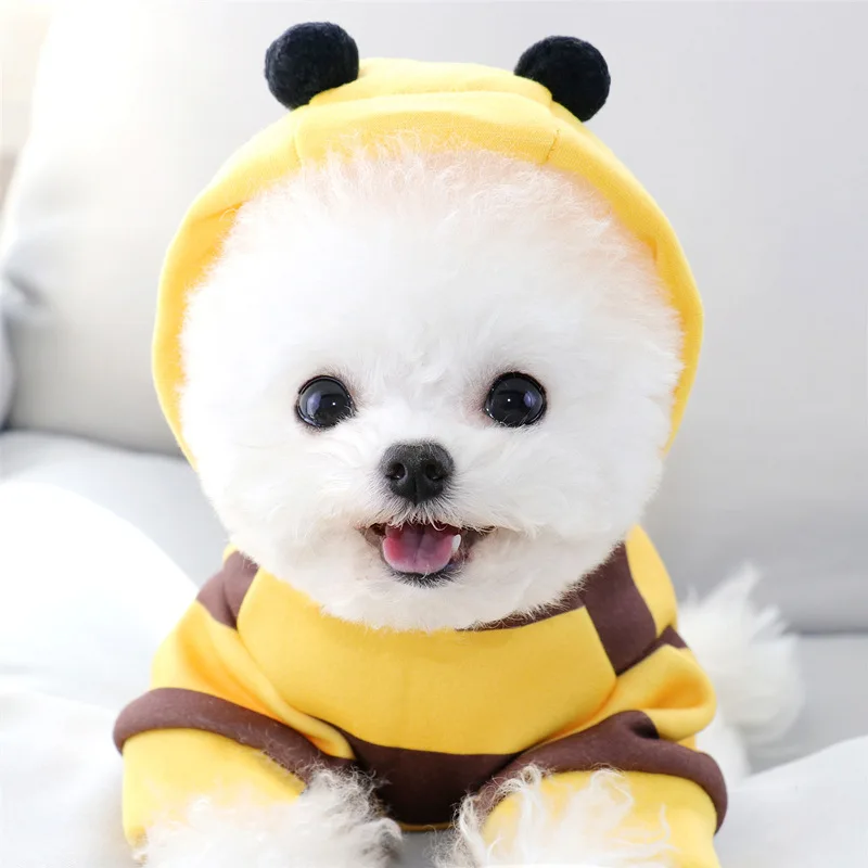 Designer Puppy Clothes Little Bee Translations Teddy Boxibomi Winter Pet Dress Small Puppy Cat Poodle Dog Clothing
Designer Puppy Clothes Little Bee Translations Teddy Boxibomi Winter Pet Dress Small Puppy Cat Poodle Dog Clothing