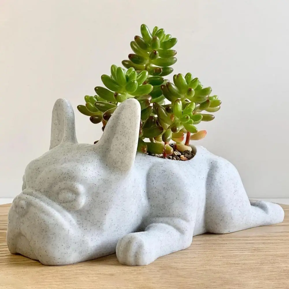 Creative Resin Attractive Succulent Puppy Potted Ornament Balcony Supplies Puppy Potted Decor Succulent Flower Pot
Creative Resin Attractive Succulent Puppy Potted Ornament Balcony Supplies Puppy Potted Decor Succulent Flower Pot