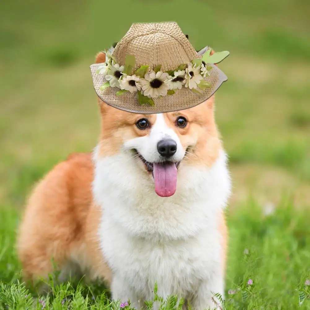 Удлиненная Экологически чистая шапка из рафии для кошек и собак, повседневный головной убор, портативная соломенная шляпа для домашних жив... 
Удлиненная Экологически чистая шапка из рафии для кошек и собак, повседневный головной убор, портативная соломенная шляпа для домашних жив...