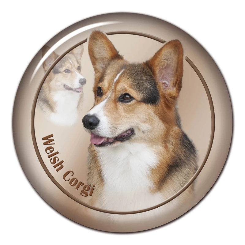 A0626 #13 см/17 см съемная наклейка на автомобиль Welsh Corgi Breed V2, водонепроницаемые аксессуары на бампер, заднее стекло, ноутбук
A0626 #13 см/17 см съемная наклейка на автомобиль Welsh Corgi Breed V2, водонепроницаемые аксессуары на бампер, заднее стекло, ноутбук