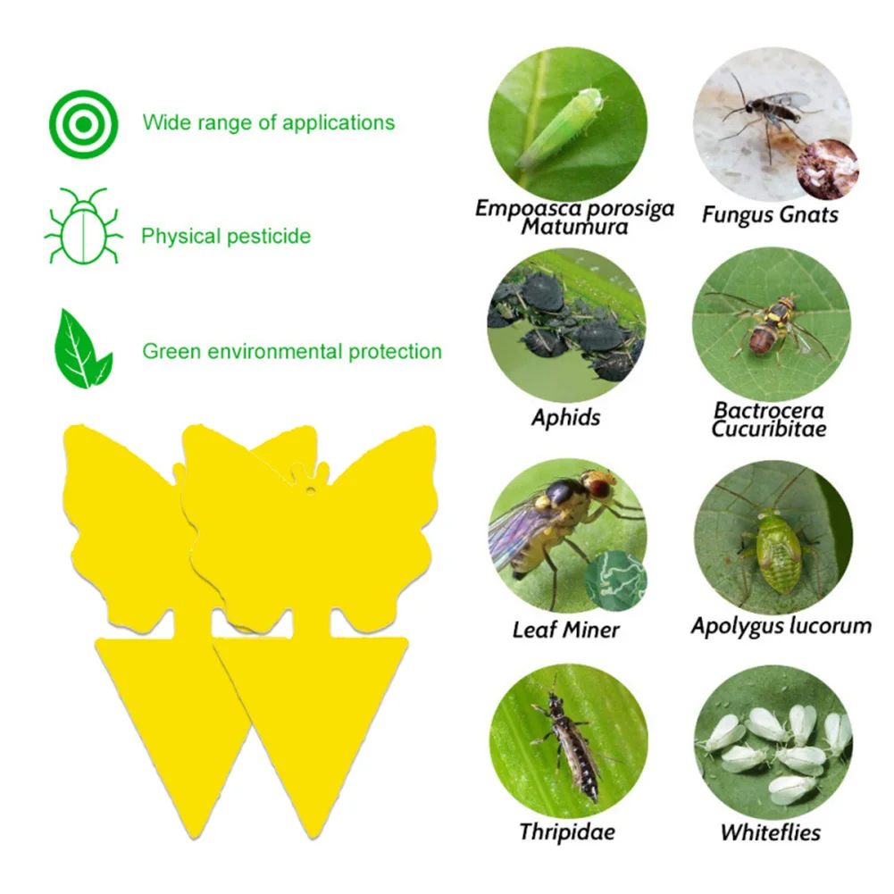 10pcs Waterproof Double-sided Fly Traps Bugs Sticky Board Portable Catching Aphid Insects Mosquito Whitefly Thrip Leafminer Glue
10pcs Waterproof Double-sided Fly Traps Bugs Sticky Board Portable Catching Aphid Insects Mosquito Whitefly Thrip Leafminer Glue