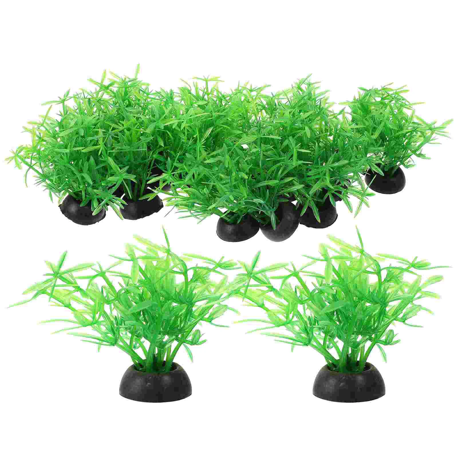 20 Pcs Turtle Succulent Planter Aquarium Decoration Kelp Fish Tank Decor Fish Tank Plants Fish Tank Palm Tree
20 Pcs Turtle Succulent Planter Aquarium Decoration Kelp Fish Tank Decor Fish Tank Plants Fish Tank Palm Tree