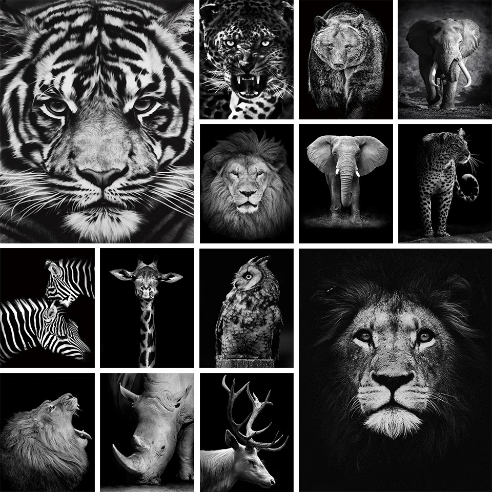 5D DIY Diamond Painting Animal Rhinestone Picture Full Diamond Full Diamond Embroidery Cross Stitch Kit Mosaic Home Decoration
5D DIY Diamond Painting Animal Rhinestone Picture Full Diamond Full Diamond Embroidery Cross Stitch Kit Mosaic Home Decoration