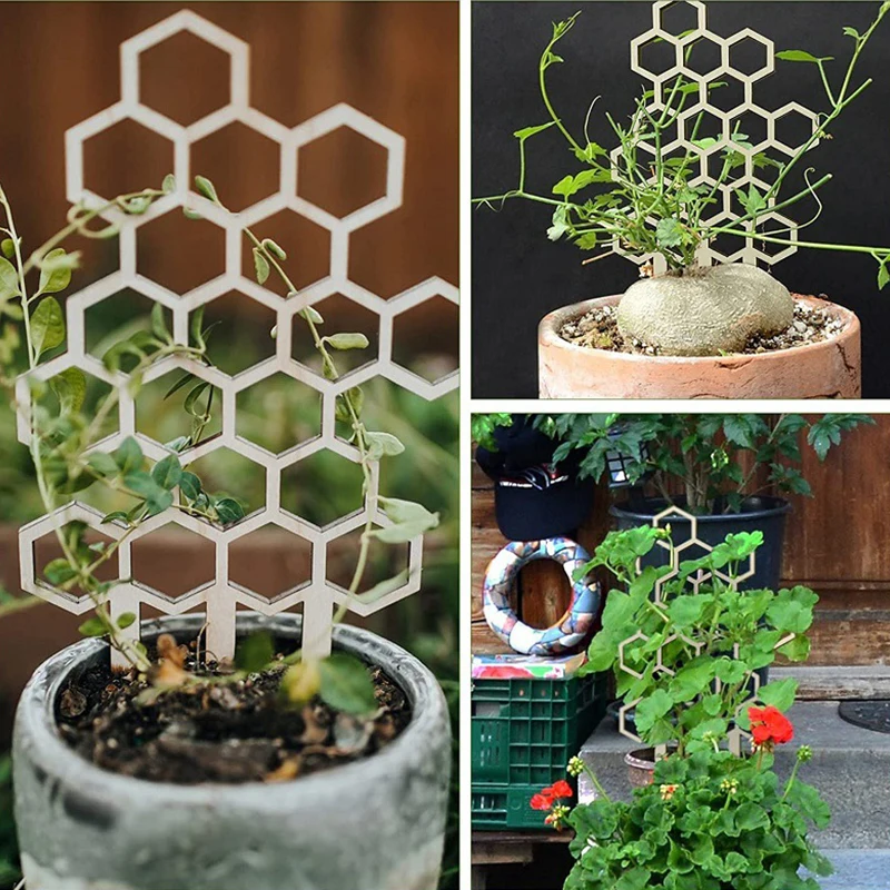 Trellis for Potted Plants 3Pcs Plant Trellis Indoor Wooden Honeycomb Shape Potted Plant Flower Stem Vines Climbing Training Supp
Trellis for Potted Plants 3Pcs Plant Trellis Indoor Wooden Honeycomb Shape Potted Plant Flower Stem Vines Climbing Training Supp