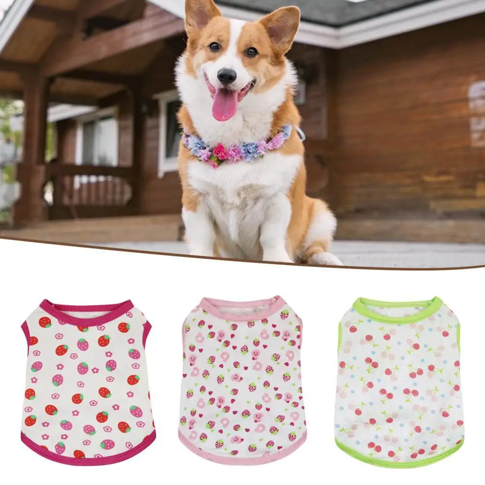 Pet Vest Lovely Protect Skin Comfortable Dog Clothes Cute Vest Shirt Costume Outfits for Party Dog Clothes Dog Vest
Pet Vest Lovely Protect Skin Comfortable Dog Clothes Cute Vest Shirt Costume Outfits for Party Dog Clothes Dog Vest