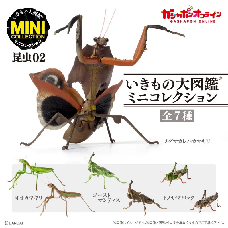Bandai Genuine Mini Assembled Insect Model Gashapon Toys Lucanidae Unicorn Beetle Creative Simulation Model Ornament Toys
Bandai Genuine Mini Assembled Insect Model Gashapon Toys Lucanidae Unicorn Beetle Creative Simulation Model Ornament Toys