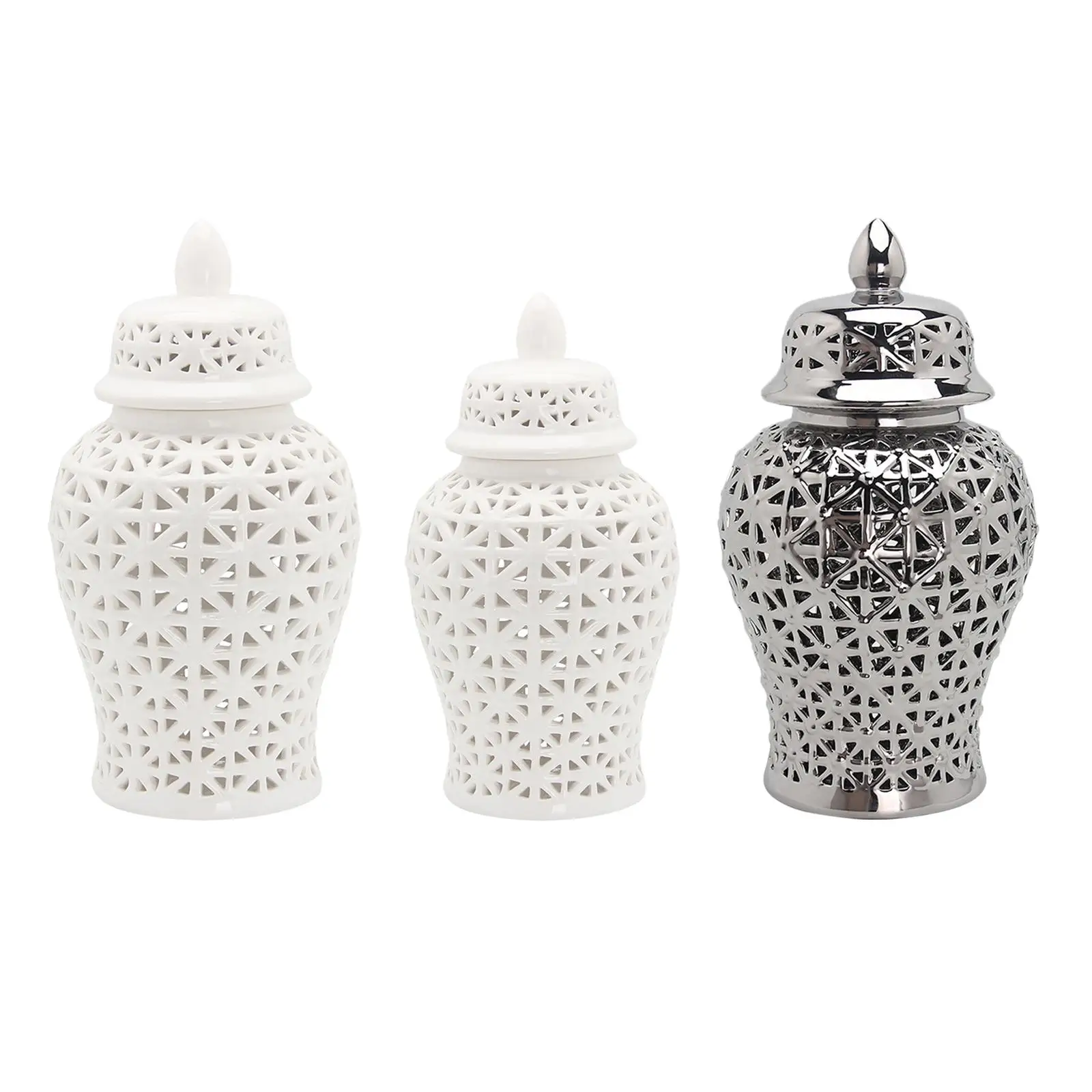 Traditional Ceramic Ginger Jar Decorative Porcelain Jar for Home Living Room Decor
Traditional Ceramic Ginger Jar Decorative Porcelain Jar for Home Living Room Decor