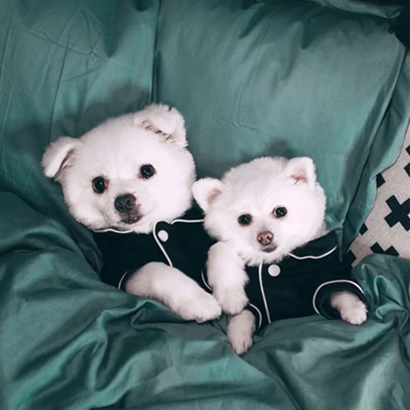Dog Pajamas Pet Dog Sleeping Clothes Comfortable Solid Color Printed Jacket Chihuahua Bull Teddy Small and Medium-sized Dogs
Dog Pajamas Pet Dog Sleeping Clothes Comfortable Solid Color Printed Jacket Chihuahua Bull Teddy Small and Medium-sized Dogs