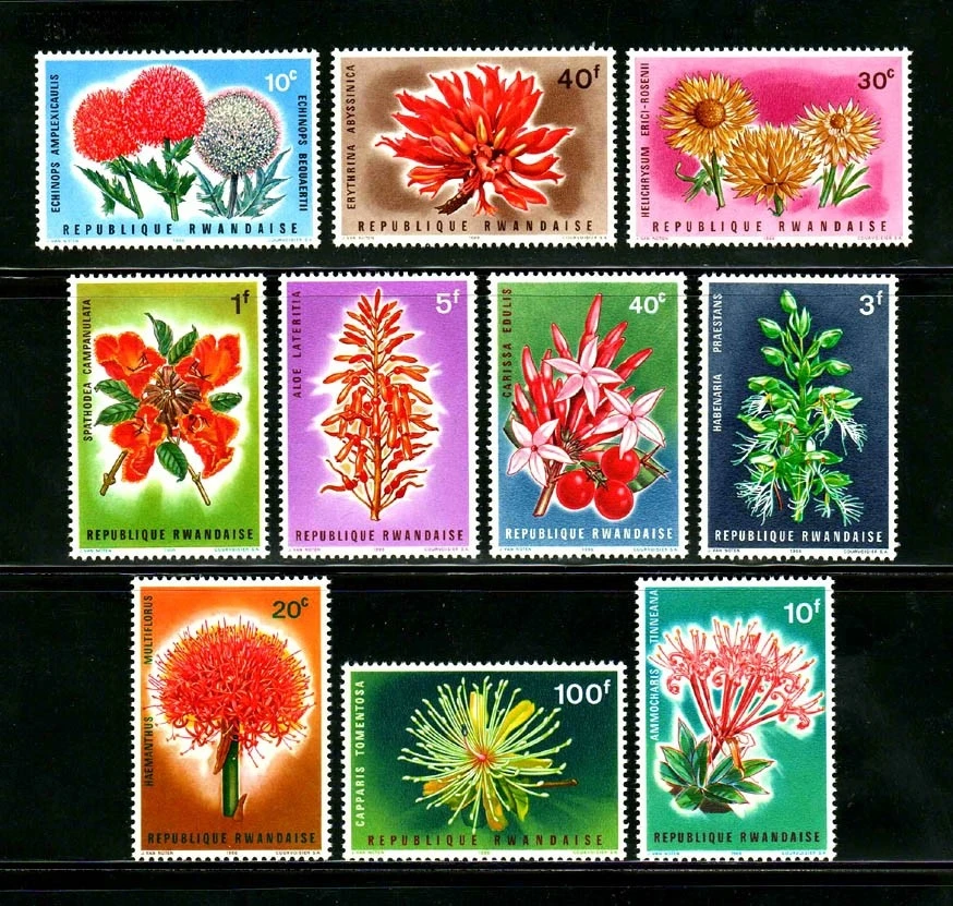 10 PCS,Rwanda Post Stamp,1966,Flower Stamp,Plant Stamp,High Quaility,Real Original,New Stamps,Good Condition Collection
10 PCS,Rwanda Post Stamp,1966,Flower Stamp,Plant Stamp,High Quaility,Real Original,New Stamps,Good Condition Collection