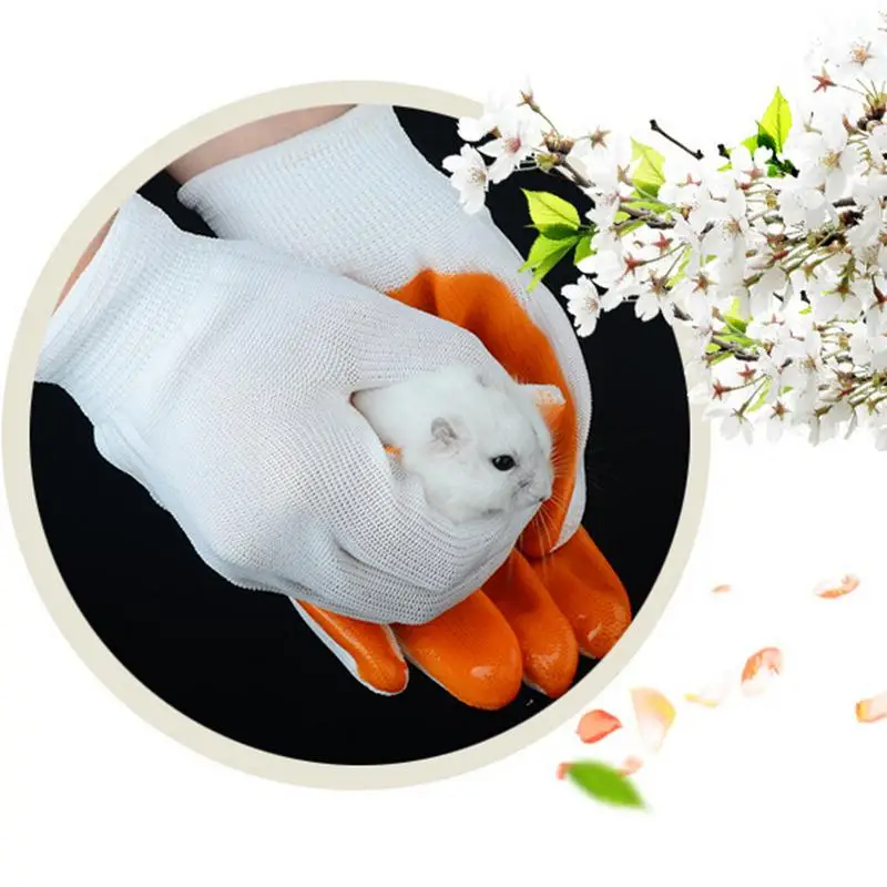 Small Pets Biteproof Gloves Smashproof Hand Protection Gloves Anti Bite From Hamster Rabbit Chinchillas Guinea Pigs
Small Pets Biteproof Gloves Smashproof Hand Protection Gloves Anti Bite From Hamster Rabbit Chinchillas Guinea Pigs