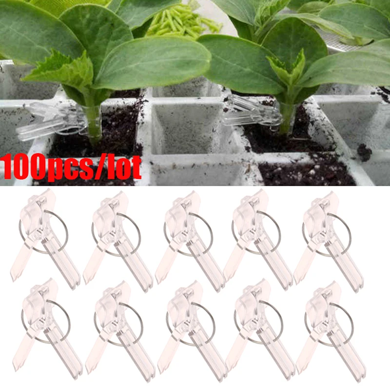 100Pcs 15x35MM Grafting Clips Vegetables Grafted Clamp Garden Plants Seedling Transparent Plastic Joint Gardening Tools
100Pcs 15x35MM Grafting Clips Vegetables Grafted Clamp Garden Plants Seedling Transparent Plastic Joint Gardening Tools