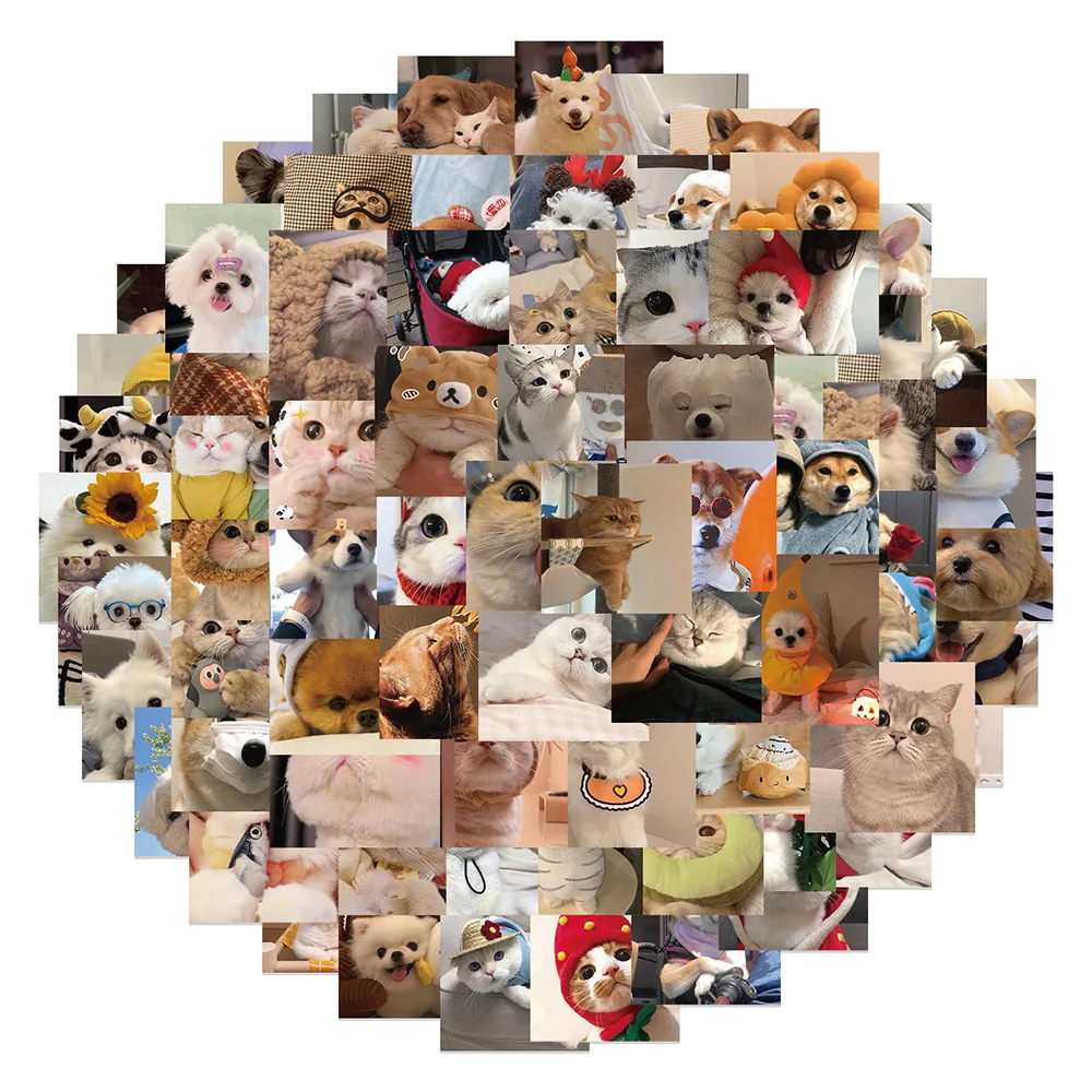 10/30/50/100pcs Cute Animal Dog Cat Stickers Kawaii Cartoon Decals Notebook Phone Laptop Suitcase Guitar Fridge Kid Sticker Toy
10/30/50/100pcs Cute Animal Dog Cat Stickers Kawaii Cartoon Decals Notebook Phone Laptop Suitcase Guitar Fridge Kid Sticker Toy