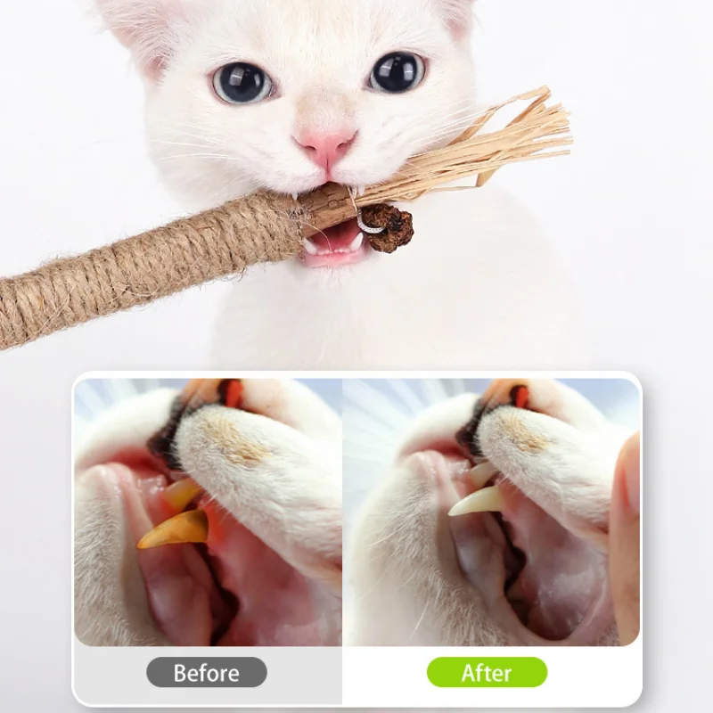 2pcs Cat Toys Silvervine Chew Stick Kitten Snacks Catnip Toys Kitten Natural Materials Clean Teeth With Catnip Indoor Dental
2pcs Cat Toys Silvervine Chew Stick Kitten Snacks Catnip Toys Kitten Natural Materials Clean Teeth With Catnip Indoor Dental