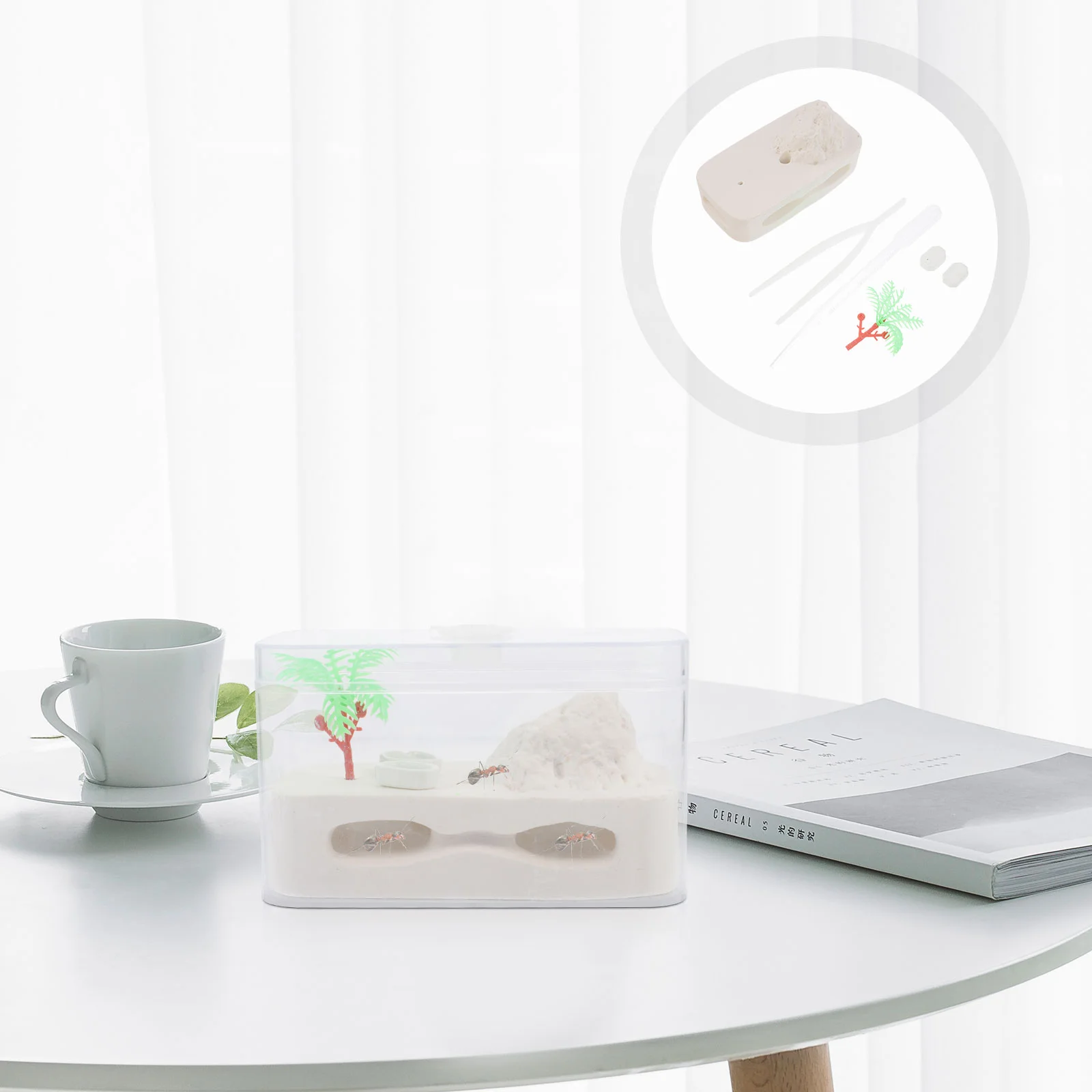 Ant Box House Farmecological Insect Behavior Castle Educationalsystem Feeding Formicarium Kids Display Observe Tower Habitathome
Ant Box House Farmecological Insect Behavior Castle Educationalsystem Feeding Formicarium Kids Display Observe Tower Habitathome