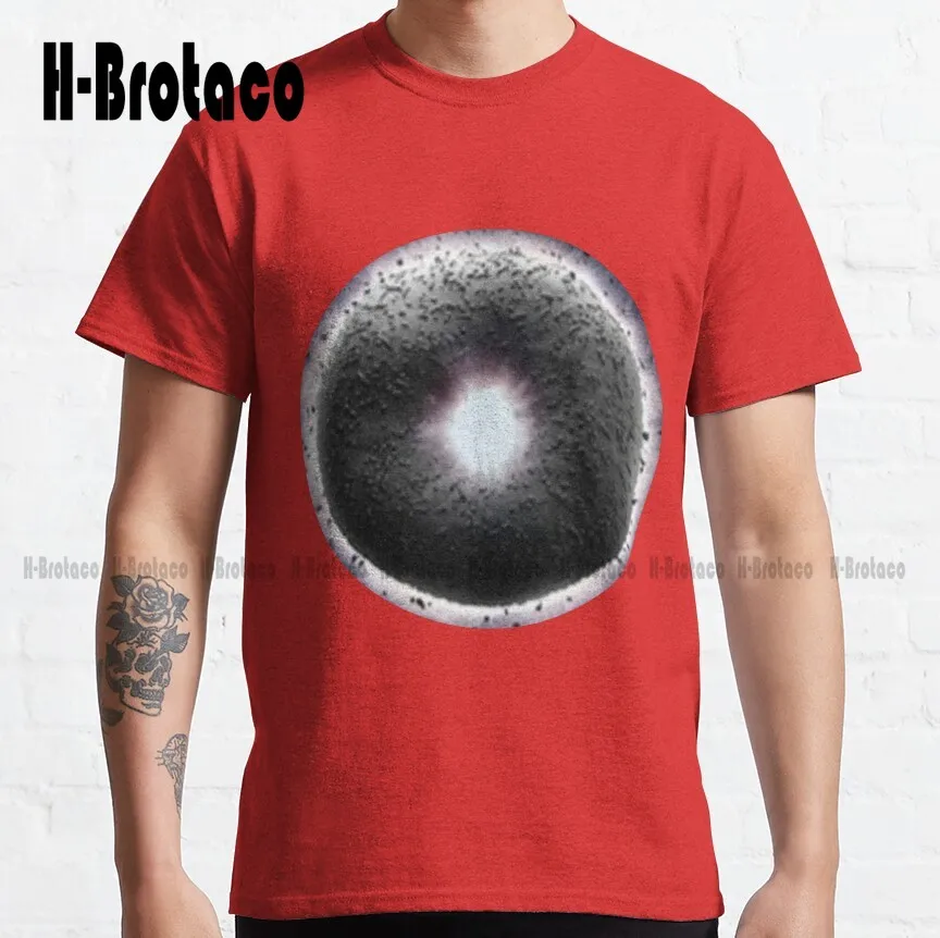 Everything Everywhere All At Classic T-Shirt Unisex Tshirts For Adults Fashion Tshirt Summer Xs-5Xl Breathable Cotton Unisex
Everything Everywhere All At Classic T-Shirt Unisex Tshirts For Adults Fashion Tshirt Summer Xs-5Xl Breathable Cotton Unisex
